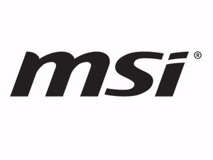 logo-msi_negro